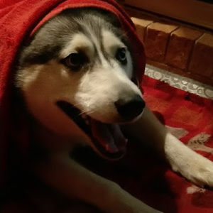 Meet your Posher, Prini